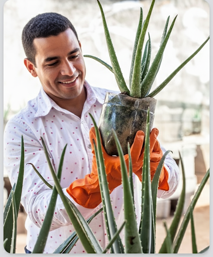 Become a Pluggerzz Gardener