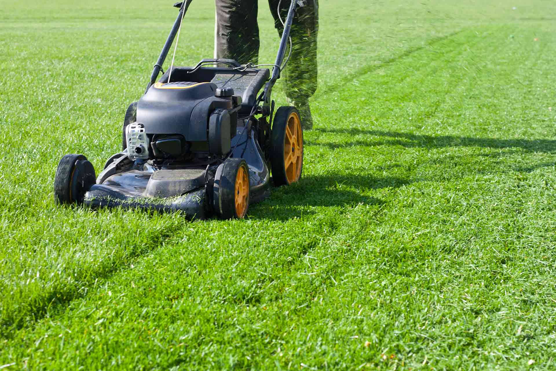 2 Hour Professional Gardening Services – Keeping Your Garden Fresh & Beautiful