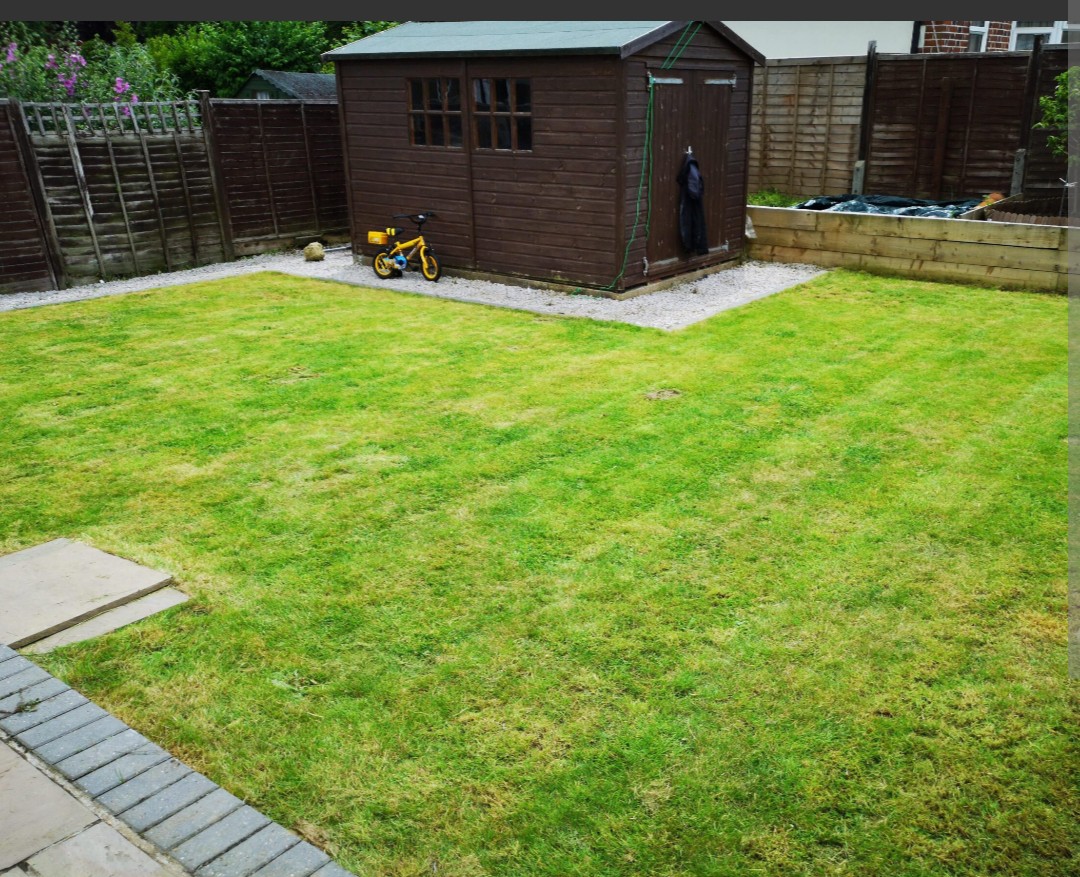 Work Photo 1
