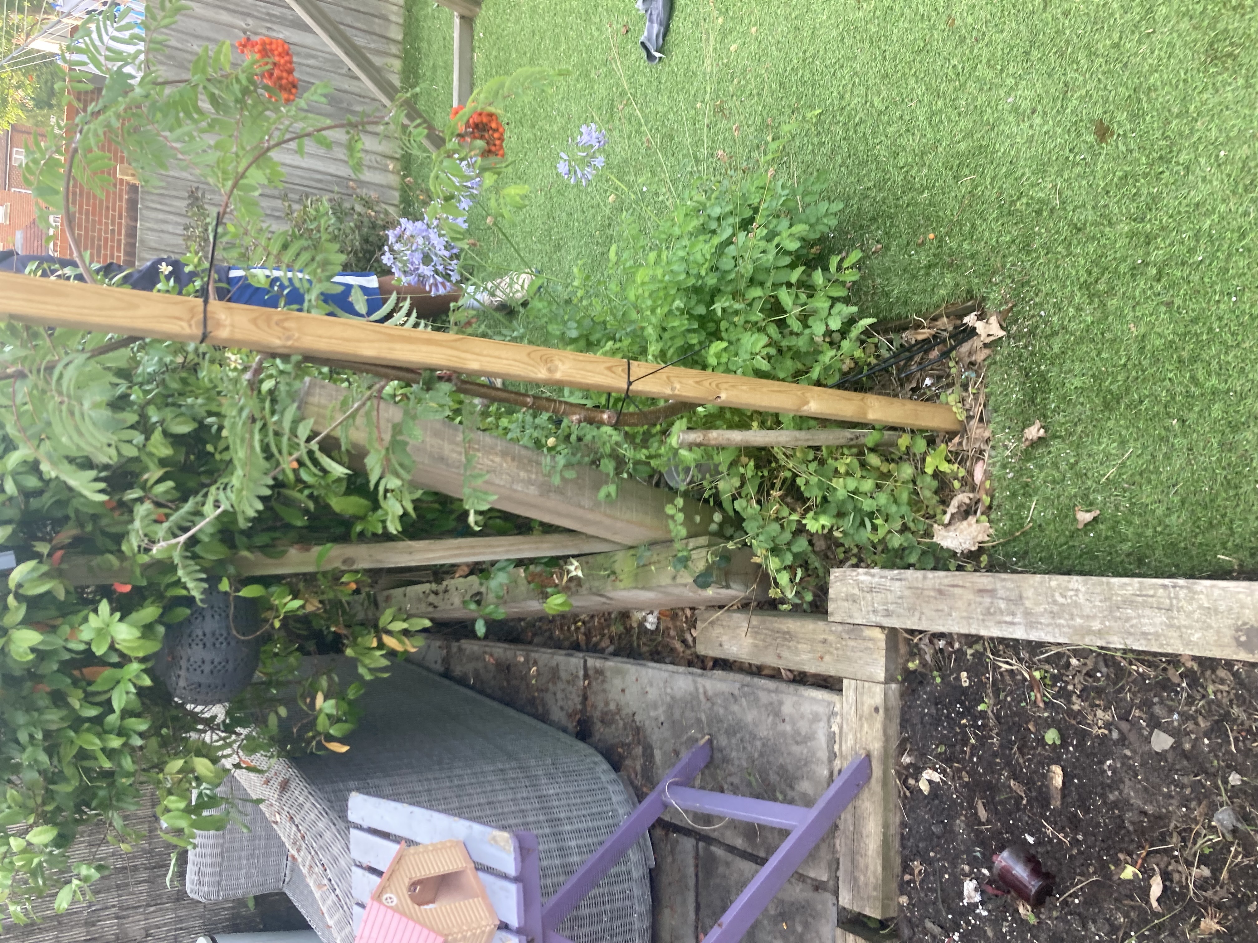 MCDGardening