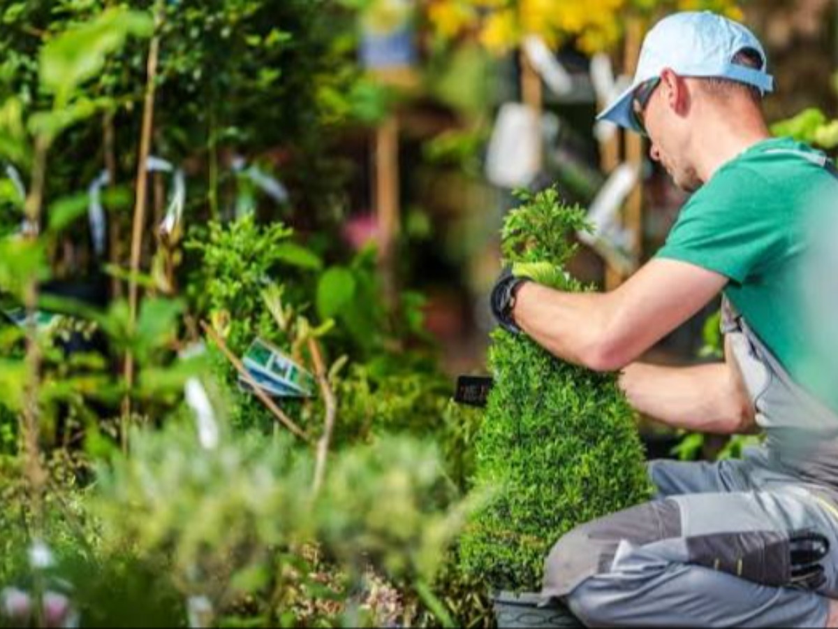 Planting (Seasonal) in your area
