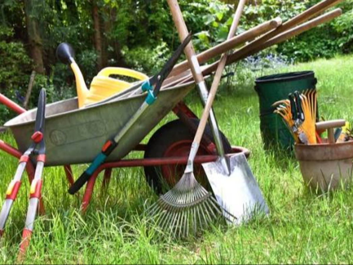 Garden Clearance in your area