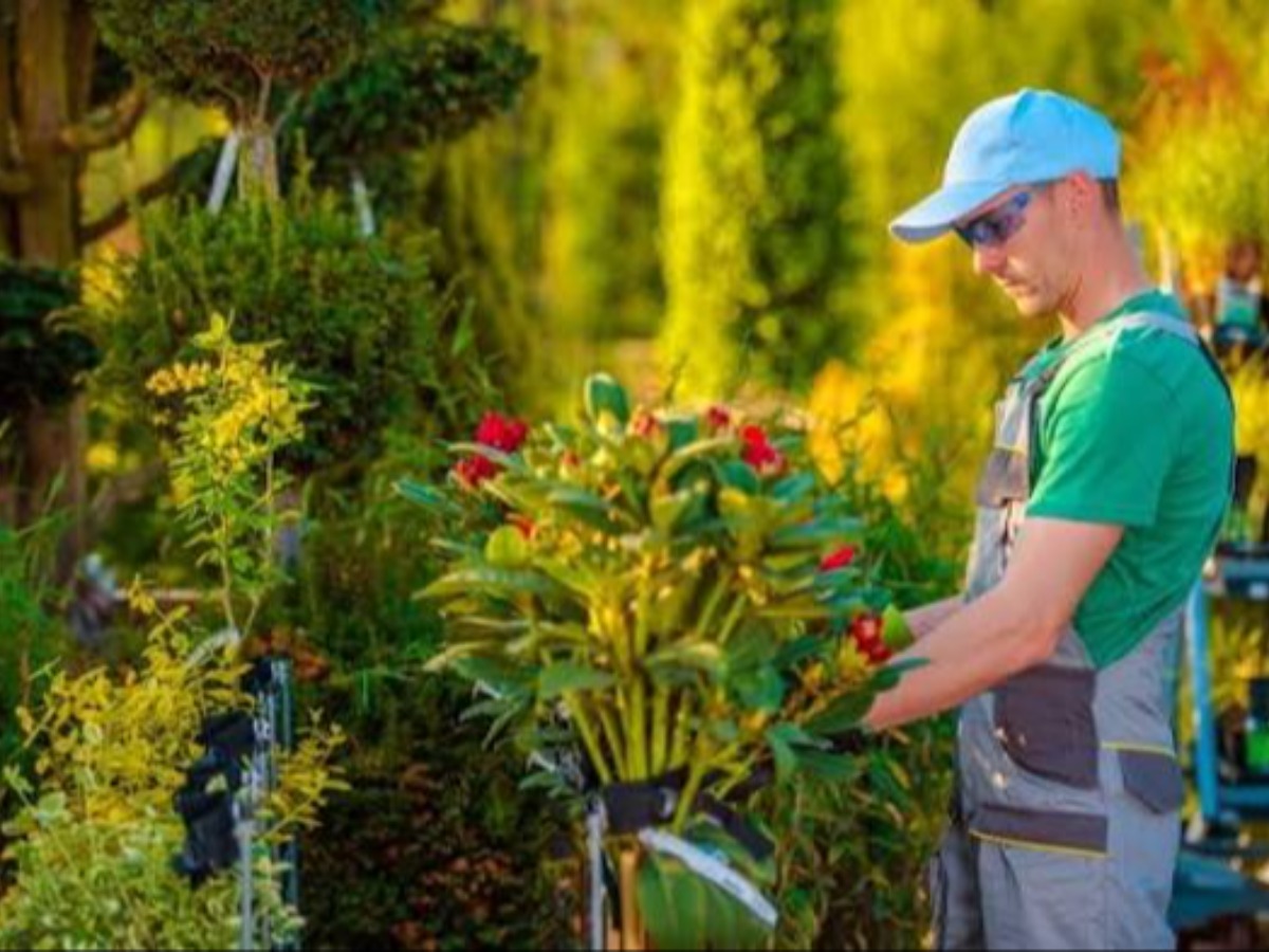 Planting (Seasonal) in your area