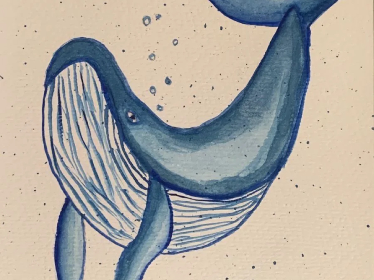 Drawing Lessons (Online) in your area