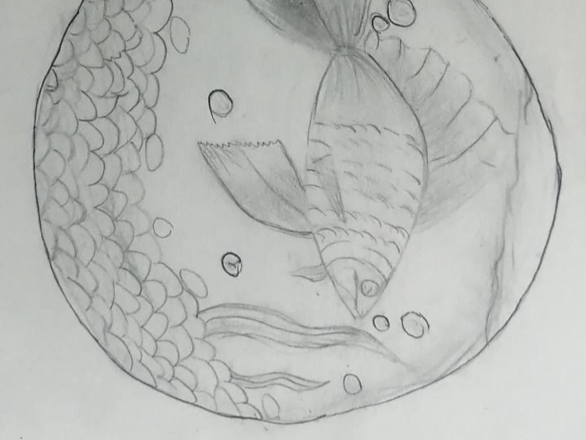 Drawing Lessons (Online)